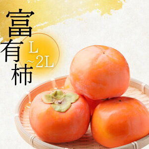yӂ邳Ɣ[ŁzyNz[s\] y󂠂zxL` L`2L TCY 5kg ʎ [mt1692] bƒp p 킯 PA  xL` ӂ䂤 t[c ߘa7N JL ʕ 