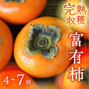 yӂ邳Ɣ[Łz[s\] ߘa7NY nn xL` 4~7  | 󂠂TCYs KiO ܂ ƒp 傤 `  xL` ʕ A t[c ۋ [mt1652]b򕌌 {