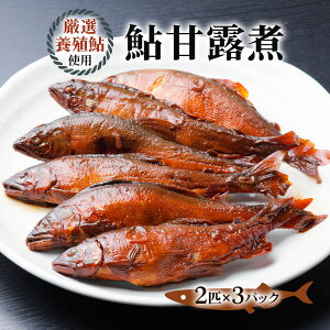 【ふるさと納税】鮎甘露煮(2匹×3パック)【厳選養殖鮎使用、鮎本来の風味を生かした甘露煮】鮎 惣菜 あゆ 魚 魚介 煮物 惣菜 ごはんのお供 おつまみ グルメ 真空パック 簡易包装 岐阜県 本巣