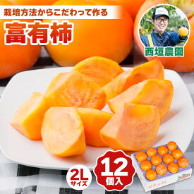 【ふるさと納税】[先行予約] 令和7年産 《柿の王様》西垣農園の富有柿 2Lサイズ (12個入) 11月中旬から12月上旬にかけて発送予定[mt018] [0593]｜かき 富有柿 フルーツ カキ 果物 くだもの 産地直送 岐阜県 本巣市 お取り寄せ 16000円