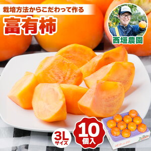 yӂ邳Ɣ[Łz[s\] ߘa7NYs`̉lt__̕xL` 3LTCY (10)11{~12{\ [mt021] [0594]b xL` ӂ䂤 t[c ߘa6N JL ʕ  
