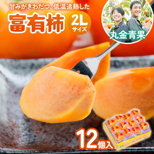 yӂ邳Ɣ[Łz[s\] ߘa7NY ۋ xL` 2LTCY (12) ቷǏnyÂ݂킾 ቷǏnxL`͂z12{菇 [0629] [mt100]b xL` t[c 