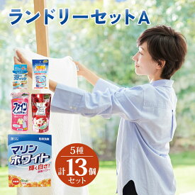【ふるさと納税】[生活応援] ランドリーセットA (衣料用 粉末洗剤 液体柔軟剤 おしゃれ着洗い 洗濯槽クリーナー 洗濯用固形石鹸) 日用品 消耗品 洗濯洗剤 洗濯用洗剤 部分洗い 詰替 蛍光増白剤不使用 抗菌 洗濯槽クリーナー [0939] 16000円