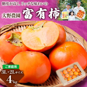 yӂ邳Ɣ[Łzys\zsߘa7NYt_̕xL`ƒp3LE2LTCY  4kg 11{`12{\ [1043] [mt094]b󂠂 킯 PA  xL` t[c JL ʕ