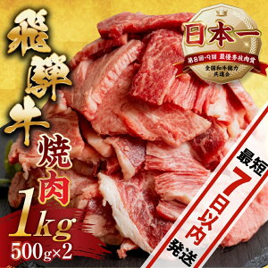 yӂ邳Ɣ[Łzy9ԌCP{z 󂠂 ˋ ē ؂藎Ƃ 500g×2 v1kg   ؗ a Y 킯 s  Ⓚ {s gLm BBQ o[xL[ lC Ă