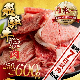 【ふるさと納税】【訳あり】飛騨牛 焼肉 切り落とし 250g 400g 500g 600g | 牛肉 肉 切落し わけあり ワケアリ 不揃い 冷凍 着日指定 すぐ届く 本巣市 トキノ屋 食品 訳有 バーベキュー [mt505] 15000円 13000円 10000円 7000円 6000円
