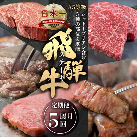 【ふるさと納税】[A5等級] 飛騨牛 ステーキ 5回 隔月 定期便 | ヒレ フィレ シャトーブリアン サーロイン モモ 赤身 霜降り 牛肉 肉 和牛 牛肉 肉 冷凍 焼肉 ステーキ 定期便 肉 お楽しみ 定期便 牛肉 本巣市 トキノ屋 食品 125000円