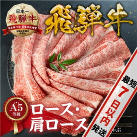 【ふるさと納税】[A5等級] 飛騨牛 すき焼き 肩ロース ロース しゃぶしゃぶ 用 《 1kg 600g 500g 300g 》『 ロース ・ 肩ロース 肉』牛肉 肉 和牛 黒毛和牛 国産牛 a5 霜降り 小分け すきやき トキノ屋食品 本巣市 日付指定 着日指定 [mt1722]