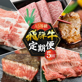 【ふるさと納税】【定期便】A5 飛騨牛 5回 定期便 計 2.65kg 5ヶ月 食べ比べ 牛肉 肉 和牛 国産牛 黒毛和牛 焼肉 やきにく ヤキニク すき焼き すきやき しゃぶしゃぶ ステーキ 赤身 霜降り お楽しみ トキノ屋食品 本巣市 [mt354] 95000円