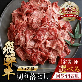 【ふるさと納税】 【訳あり】 [A5等級] 飛騨牛 切り落とし 定期便 | 400g 500g 1kg 3回 5回 6回 12回 半年 1年 年間 楽天限定 牛肉 肉 和牛 国産牛 黒毛和牛 牛肉 肉 焼肉 すき焼き a5 不揃い 小分け 冷凍 本巣市 岐阜 トキノ屋 食品 [mt403]