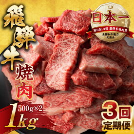 【ふるさと納税】【訳あり】定期便 飛騨牛 焼肉 切り落とし 500g × 2 計 1kg 3回お届け | 定期便 お楽しみ 牛肉 肉 切落し 和牛 国産牛 黒毛和牛 牛肉 肉 わけあり ワケアリ 不揃い 小分け 冷凍 焼き肉 やきにく 本巣市 トキノ屋 食品 訳有 [mt439] 72000円