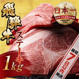 【ふるさと納税】 訳あり 飛騨牛 ステーキ 切り落とし 計1kg 牛肉 肉 切落し 和牛 国産牛 わけあり 不揃い 冷凍 本巣市 トキノ屋 BBQ バーベキュー 人気 ステーキ [mt656] 30000円 3万円