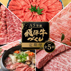 【ふるさと納税】【定期便・発送時期が選べる】A5 飛騨牛 5回 定期便 計 2.9kg 5ヶ月 食べ比べ A5等級 5等級 a5 牛肉 肉 和牛 国産牛 黒毛和牛 焼肉 すき焼き しゃぶしゃぶ ステーキ 赤身 霜降り お楽しみ トキノ屋食品 本巣市 [mt668] 100000円 10万円