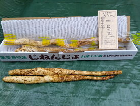 【ふるさと納税】郡上奥美濃 自然薯 / 食品 野菜 きのこ その他野菜 山芋 自然薯 15000円[G0187]