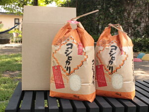 yӂ邳Ɣ[Łzߘa7NY SYЂ 5kg 10kg eʑIׂ / Hi    RVqJ  R  [G0154]