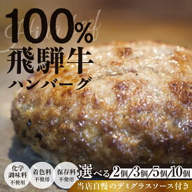 【ふるさと納税】飛騨牛100％無添加ハンバーグ 2個・3個・5個・10個 生ハンバーグ 牛 100% デミグラスソース付 冷凍/ 食品 惣菜 洋風惣菜 ハンバーグ 10000円 1万円 ～