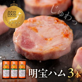 【ふるさと納税】明宝ハム3本入 約1kg / 岐阜県 名産品 バーベキュー 食品 精肉 肉加工品 加工品 ハム ステーキ ギフト 真空 冷蔵 15000円