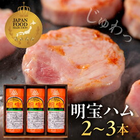 【ふるさと納税】明宝ハム≪2〜3本≫ 選べる ハム 高級ハム プレスハム ポークハム 国産 人気 おつまみ 肉 おかず ハムステーキ ギフト プレゼント 贈答 セット お中元 お歳暮 岐阜県 郡上市 簡易包装 訳あり