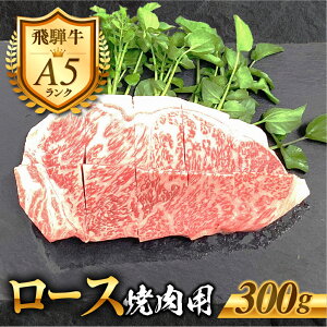 yӂ邳Ɣ[ŁzmA5nˋ [X Ăp 300g Ă    јa a BBQ ˋ  ē BBQ Ⓚ  n 󕨎YH 16000~ [G0029]