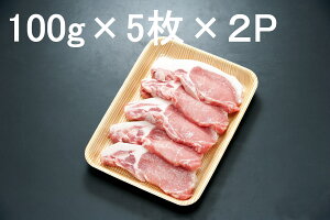 yӂ邳Ɣ[ŁzSNVbN|[N [X Ƃ񂩂p1kg 100g×10 / Hi  Hi ؓ [X 10000~