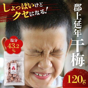 yӂ邳Ɣ[ŁzS㉄N~ 120g / vi`[  ΍ Hi Е ~ ~ ~ 5000~ G0071