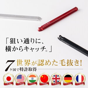 yӂ邳Ɣ[Łzє ܁[  Vo[  / є cBU[ cB[U[ piG G ̑ 12000~