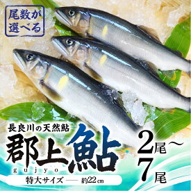【ふるさと納税】【尾数が選べる】郡上鮎 長良川の天然鮎 特大サイズ(約22cm) 2尾〜7尾 冷凍 鮎 アユ あゆ ayu 川 川魚 塩焼き 焼き魚 BBQ バーベキュー キャンプ 美濃飛騨グルメ ギフト お中元 天然 セット 詰め合わせ 選べる 岐阜県 郡上市