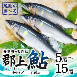 yӂ邳Ɣ[ŁzyIׂzS㈼ ǐ̓VR TCY(20cm) 5`15 / Hi  YHi ̑Y  A 10000~ 15000~ 20000~ 30000~
