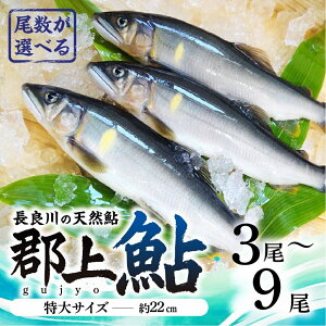 yӂ邳Ɣ[ŁzyIׂzS㈼ ǐ̓VR TCY(22cm) 3`9 / Hi  YHi ̑Y  A 10000~ 15000~ 20000~ 30000~