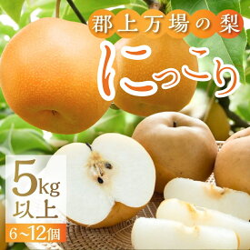 【ふるさと納税】【数量限定】 梨 郡上大和の梨 にっこり 約5kg 令和7年産【11月上旬～発送】 / 食品 フルーツ 果物 旬 和梨 梨 なし ナシ 15000円