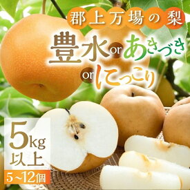 【ふるさと納税】《令和8年産》梨 郡上大和の梨 豊水 あきづき にっこり 約5kg 品種お任せ（品種指定不可) 【9月中旬〜12月上旬発送】ほうすい フルーツ 果物 旬 和梨 梨 なし ナシ デザート サラダ ご家庭用 贈答 ギフト 大和町 万場 岐阜県 郡上市