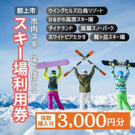 【ふるさと納税】岐阜県郡上市 市内スキー場利用券 3000円分 2025-2026 高鷲・白鳥エリア利用可 ダイナランド・高鷲・鷲ヶ岳・白鳥・ひるがの・ホワイトピア 対応 チケット リフト券 シーズン券 購入に使用可能！ あとから選べる その他 10000円 1万円