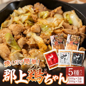 【ふるさと納税】食べ比べ 郡上鶏ちゃん5種セット 味付肉 （鶏肉） / 食品 精肉 肉加工品 鶏肉 セット 詰め合わせ 鶏ちゃん 明宝家