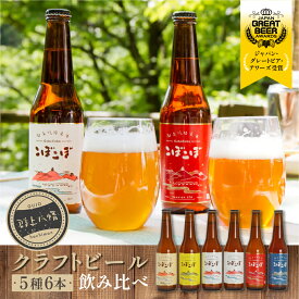【ふるさと納税】郡上八幡地ビールこぼこぼ6本セット / ビール 洋酒 ビール 発泡酒 ビール クラフトビール 20000円