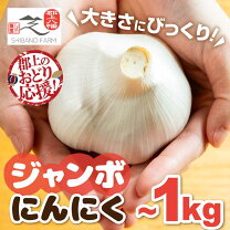 楽天市場】ジャンボにんにく 10個の通販