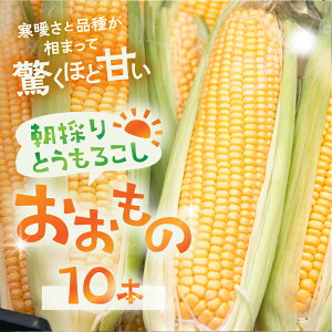 �y�ӂ邳�Ɣ[�Łz��s�\��y2026�N7�����{�`10��20�������z�S��s�Y ���ǂ�Ƃ����낱�� 10�{�� �Ƃ����낱�� �g�E�����R�V �嗱 �Â� �������� �������� �R�[�� ��� �₳�� �{ �� BBQ �ē� 1000