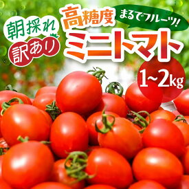 【ふるさと納税】2027年予約 リピーター続出！甘くて濃い。まるでフルーツな、高糖度ミニトマト 2kg フルーツトマト とまと トマト 野菜 やさい フルーツトマト ミニトマト 訳あり わけあり サラダ 人気 新鮮 産地直送 甘い 高糖度 完熟 リコピン 健康 食べやすい