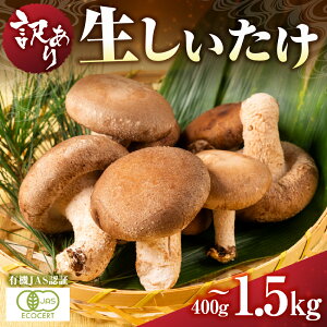 yӂ邳Ɣ[Łz󂠂 Y L@ő 400g 600g 1.5kg L@JASF  ȈՕ 傫oo / Hi  ̂ ̂  5000~ 7000~ 10000~