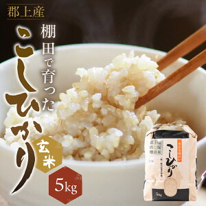 �y�ӂ邳�Ɣ[�Łz�R�V�q�J�� �����Ђ��� ���� 5kg �_�ƒ��� 2025�N�Y �ߘa7�N�Y ���� �R�� ���� ���� [G0190] 14000�~