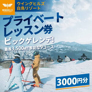 �y�ӂ邳�Ɣ[�Łz�E�C���O�q���Y�������]�[�g �v���C�x�[�g���b�X�����p�� 3,000�~�� �X�L�[ �X�m�[�{�[�h �X�L�[�� �`�P�b�g �����G���A �X�|�[�c �򕌌� �`�P�b�g �X�L�[�`�P�b�g �ߋE�E