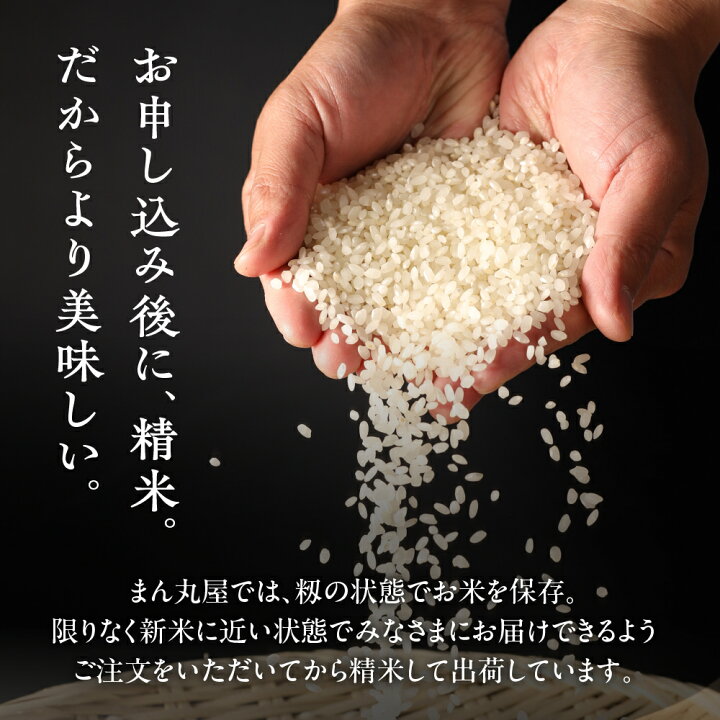 楽天市場】【ふるさと納税】【定期便】【2025年産米】新米受付 5kg×12  