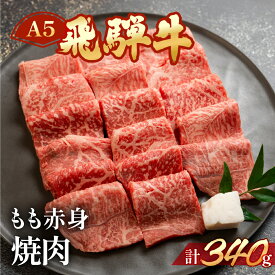 【ふるさと納税】A5飛騨牛もも赤身焼肉 340g【冷凍】　冷凍配送　もも 飛騨牛 下呂温泉 おすすめ 牛肉 肉 和牛 赤身 人気 ブランド牛 肉ギフト 国産 贈答品 焼き肉用 ギフト 和牛 15000円 岐阜県 下呂市