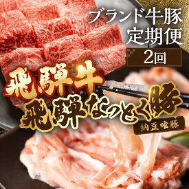 【ふるさと納税】定期便 2回 飛騨牛＆納豆喰豚 お楽しみ定期便（しゃぶしゃぶ用、焼肉用）天狗 なっとく豚 飛騨牛 牛 牛肉 焼き肉 しゃぶしゃぶ 食べ比べ 定期便 2カ月 定期下呂温泉 おすすめ 豚肉 なっとくとん ブランド豚 国産 ギフト 20000円 2万円