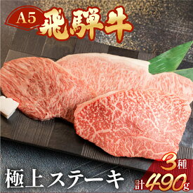 【ふるさと納税】A5 飛騨牛 サーロイン / イチボ /ランプ ステーキ 3種セット 計490g　赤身 霜降りの贅沢食べ比べ【冷凍】　 牛肉 国産 ステーキ ギフト サーロイン イチボ ランプ 和牛 30000円　3万円