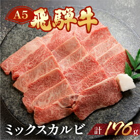 【ふるさと納税】飛騨牛 A5 ミックスカルビ 176g（約2人前）【冷凍】牛肉 肉 和牛 赤身 人気 カルビ 焼肉 牛 天狗飛騨牛 下呂温泉 牛肉 肉 和牛 赤身 人気 国産 贈答品 真空 BBQ バーベキュー 7000円