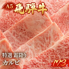 【ふるさと納税】飛騨牛 A5 特選霜降りカルビ 173g（約2人前）【冷凍 真空】牛肉 霜降り しもふり 焼肉 牛 天狗 ブランド牛 焼き肉 下呂市 飛騨 BBQ バーベキュー　10000円