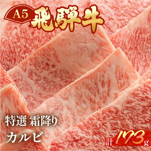 yӂ邳Ɣ[Łzˋ A5 I~Jr 173gi2lOjyⓀ ^z ~ ӂ ē  V uh Ă Cs  BBQ o[xL[@10000~