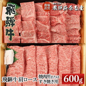 【ふるさと納税】飛騨牛 肩ロース　600g　（焼肉用または　すき焼き用）【冷凍】　ギフト 和牛 ブランド牛 下呂温泉 贈り物 贈答 ロース 焼肉 すき焼き お中元 牛肉 肉 和牛 赤身 人気 飛騨飛騨牛 44000円 岐阜県 下呂市