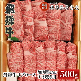 【ふるさと納税】飛騨牛 リブロース　500g（焼肉用　または　すき焼き用）　【冷凍】ギフト 和牛 ブランド牛 下呂温泉 ロース 焼肉 すき焼き 牛肉 肉 和牛 赤身 人気 飛騨飛騨牛 お中元 お祝い 焼肉用 アウトドア 50000円 岐阜県 下呂市