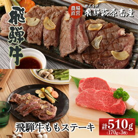 【ふるさと納税】飛騨牛 ももステーキ170g×3飛騨牛 170g 【冷凍】下呂温泉 オススメ 国産 和牛 牛肉 肉 和牛 赤身 人気 ブランド牛 ステーキ 牛肉セット BBQ 飛騨萩原畜産 ギフト 贈答 贈り物 29000円 岐阜県 下呂市